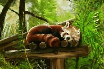 Cute Red Pandas Wallpaper