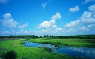Grassland Wallpaper