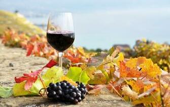 Wine Computer Wallpaper Desktop Background Id