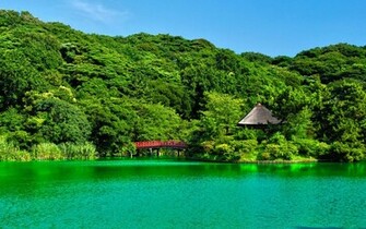 Wallpaper Exotic Vacation