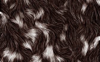Desktop HD Fur Background Wallpaper