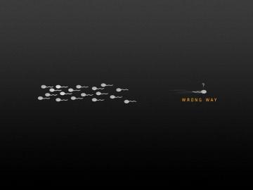 Best Cynical Background Wallpaper