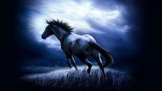 Running Horse Wallpaper HD In Animals Imageci