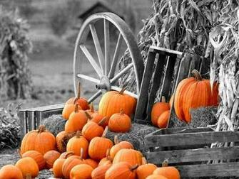 October Halloween Thanksgiving Fall
