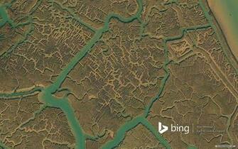 Nature Wallpaper Microsoft Bing