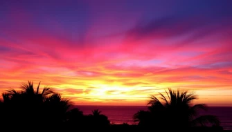 Sunset Wallpaper