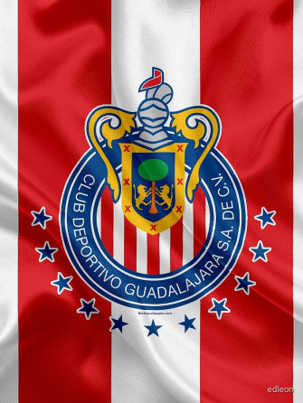 Chivas Mini Skirt By Edleon