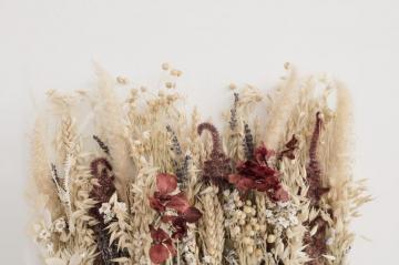 1k Dry Flower Pictures Image