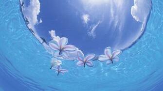 Japan Okinawa Wallpaper Wallpoper