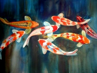 Koi Wallpaper
