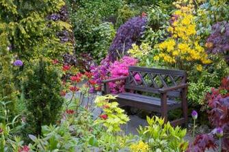 Spring Bench Beautiful Flowers Garden