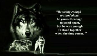 Lone Wolf Wallpaper Pictures