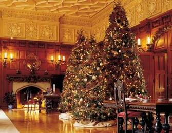 State S Biggest House Gets One Of High Country Trees