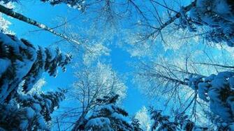 Winter Photoshoot Wallpaper