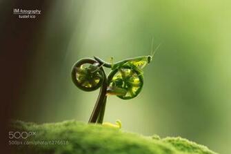 500px Rare Image Of The World Unseen