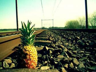 Wallpaper Rails Crushed Stone Pineapple Desktop