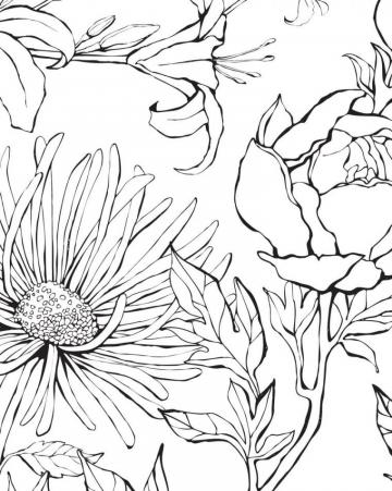 Botanical Garden Hand Drawn Flowers Mural Wall Art Wallpaper