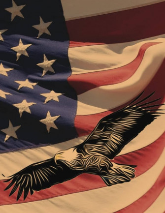 Usa Flag And American Bald Eagle Vintage Comic Style Notebook
