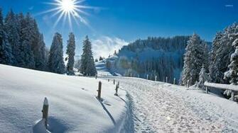 Sunny Winter Wallpaper Nature