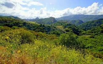 Green Hills Wallpaper