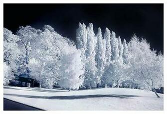 Landscape Screensavers Quotes