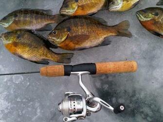 New Ice Fishing House Pics 24hourcampfire Auto Design Tech