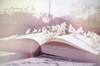 Beautiful Book Cream Flower Flowers Lovely Nice Pastel Photo