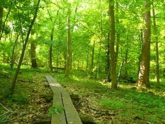 Lined Up Rain Slugs Ticks And The Amazing Appalachian Trail