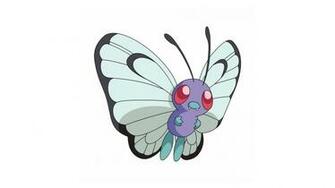Butter Image Pokemon