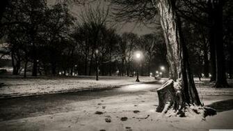 New York City Central Park Footsteps 4k HD Desktop Wallpaper