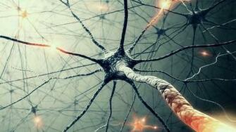 Biology Microscopic Cells Neurons Background Wallpaper