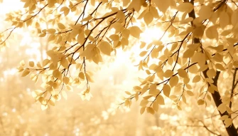 Beige Nature Wallpaper