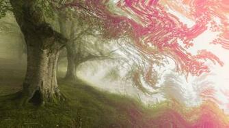 Trippy Forest Wallpaper