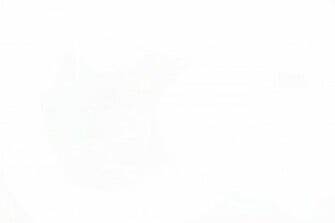 White Background Image Desktop Background