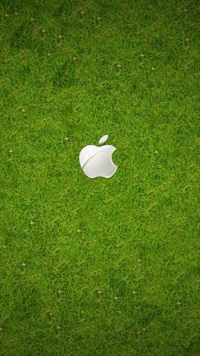 Wallpaper Apple Logo iPhone HD