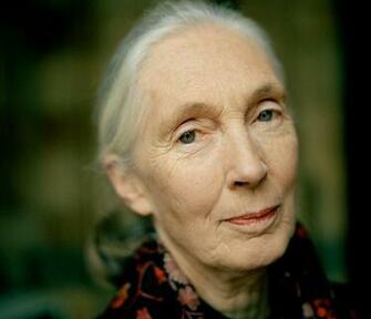 Pin Jane Goodall Picture Wallpaper Animal Planet