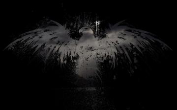 Citizen Black Eagle HD Widescreen Wallpaper The