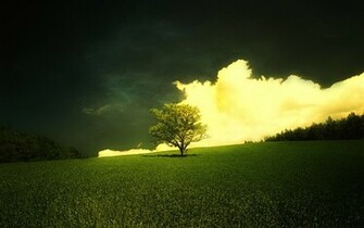 Wallpaper Nature Spring