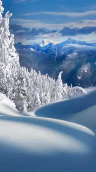 Winter Wallpaper For iPhone