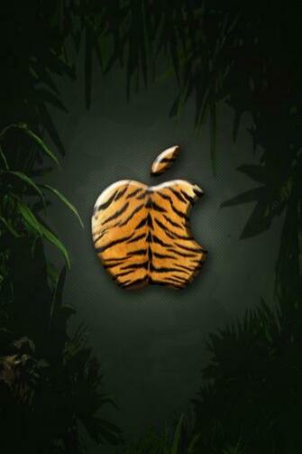iPhone Wallpaper Tiger By Laggydogg