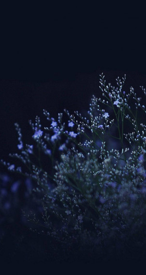 Top Cute Dark Girly Wallpaper Full HD 4k To Use