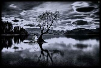 Psyduck On A Lake Gotham HD Wallpaper Hot