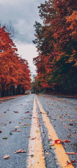 Fall Wallpaper For iPhone Best Autumn