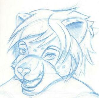 Snow Leopard Drawing By Streetisking