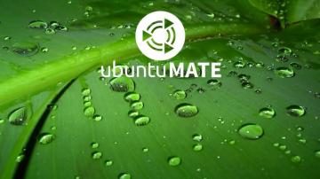 Some Ubuntumate Wallpaper Artwork Ubuntu Mate Community