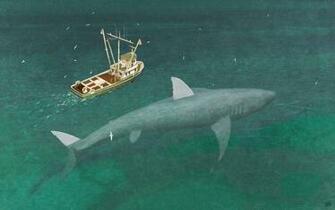 Megalodon Next To Ship Wallpaper HD Sharks