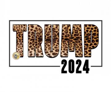 Trump Funny Wallpaper