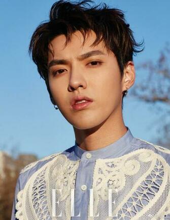 Weibo Netizens React To Kris Wu Reading Poetry In