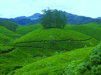 Tourism In Kerala HD Wallpaper Travel N World Imageci