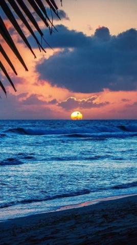 Summer Wallpaper For Mobile Phone Tablet Desktop Computer And